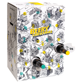 Beer Hawk 2020 Advent Calendar
