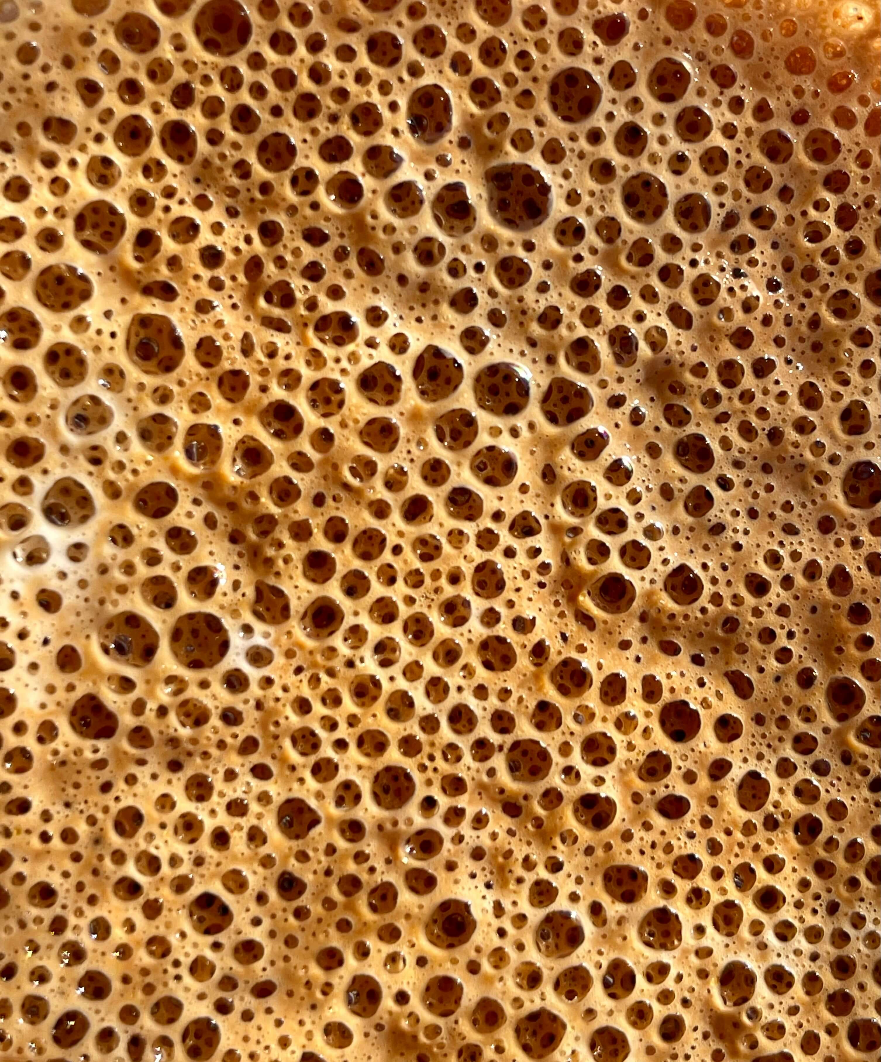 A quoi sert la levure de biere ?