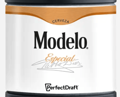 Are beer kegs stainless steel ?