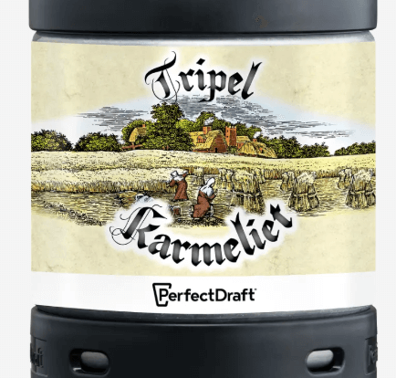 Are Perfectdraft reusable ?