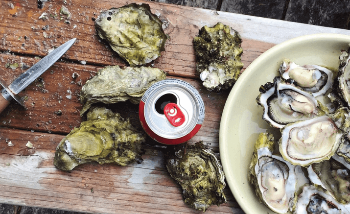 Qu’est ce qu’une bière Oyster Stout ?