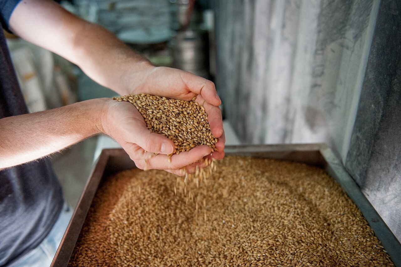 Brewing beer with malt extract