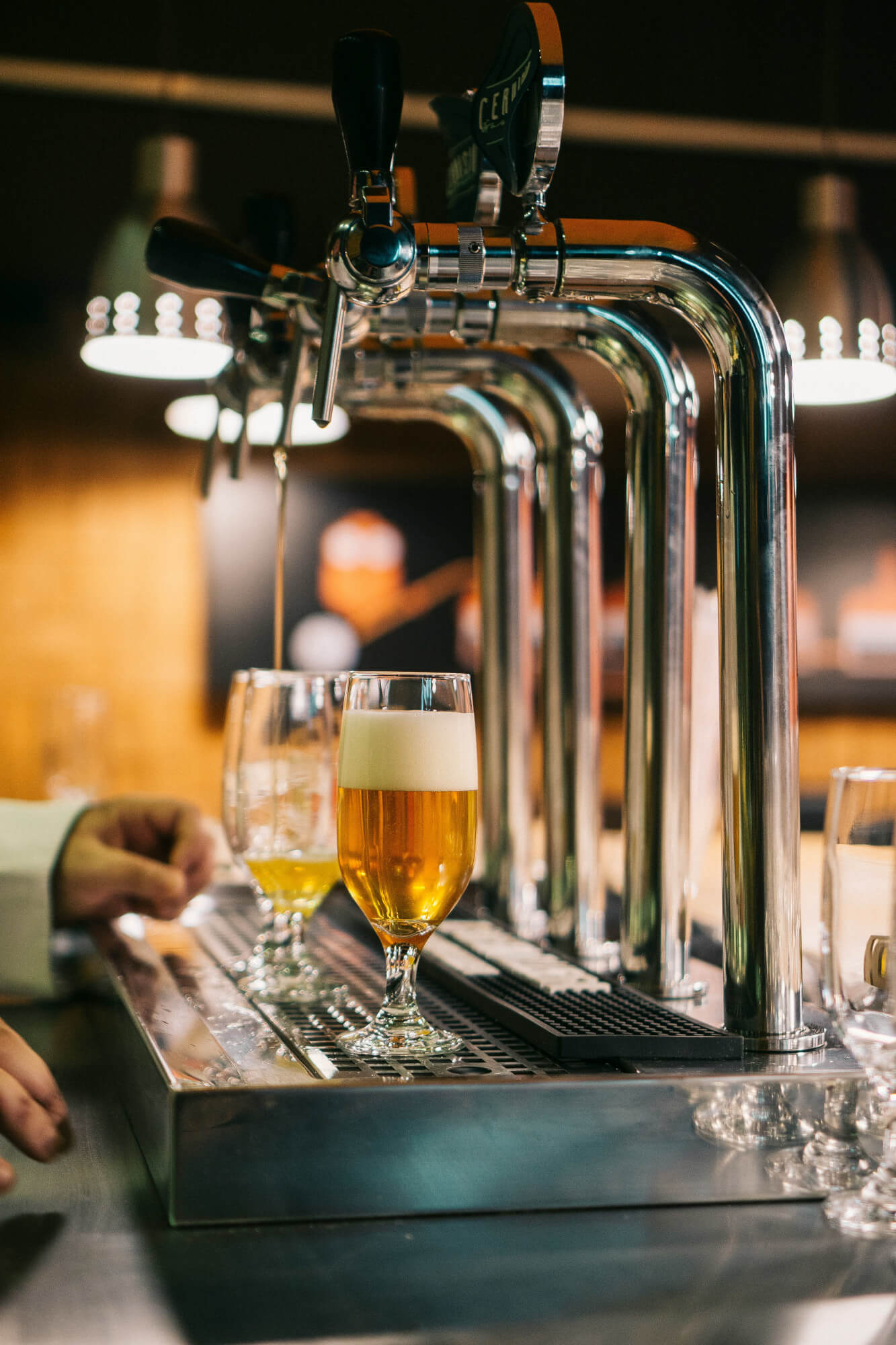  ¿Cómo surgió la cerveza?