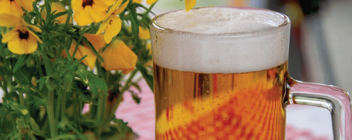 Connaissances de base sur la bière