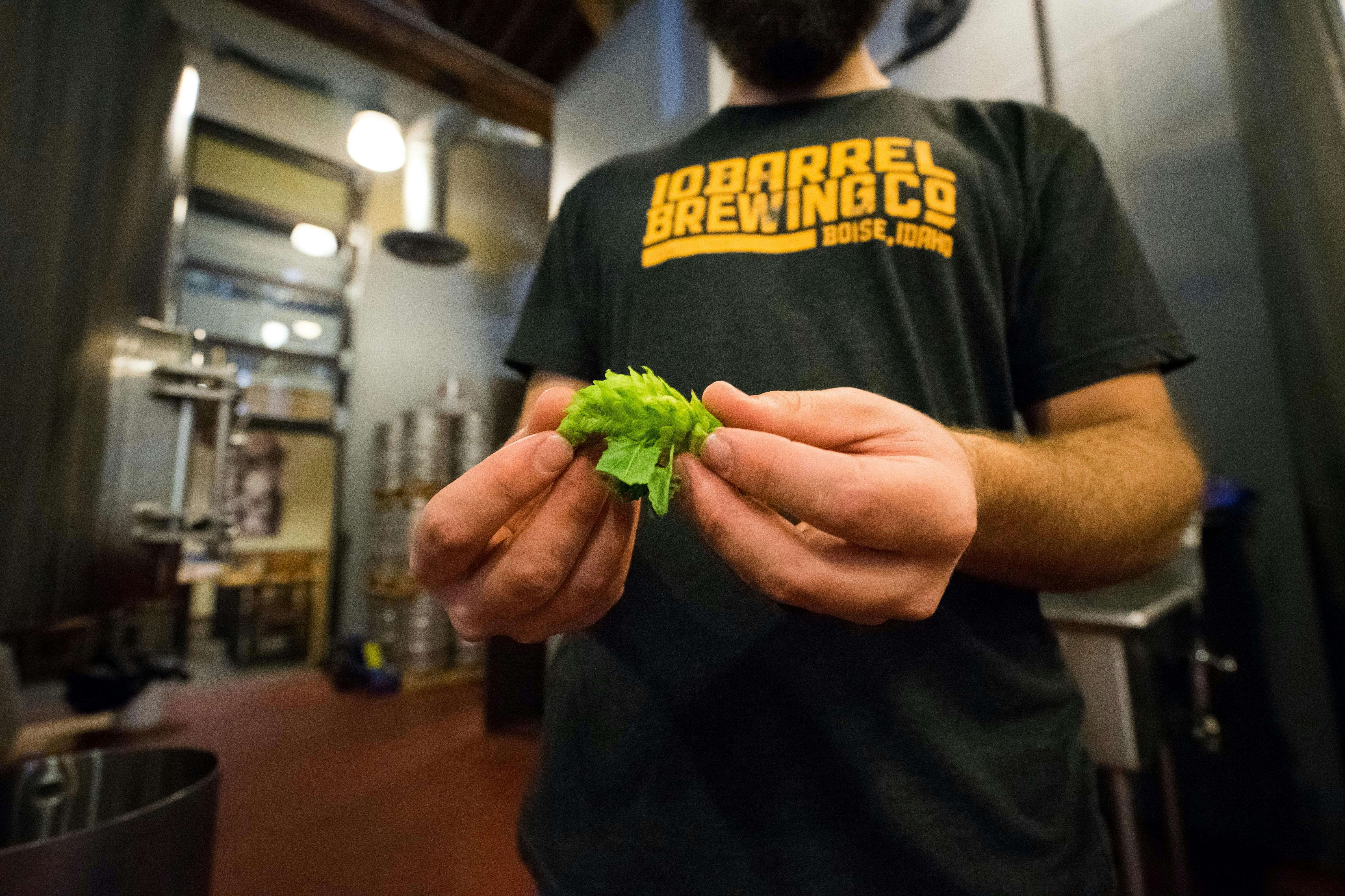 Nos conseils pour brasser sa propre bière