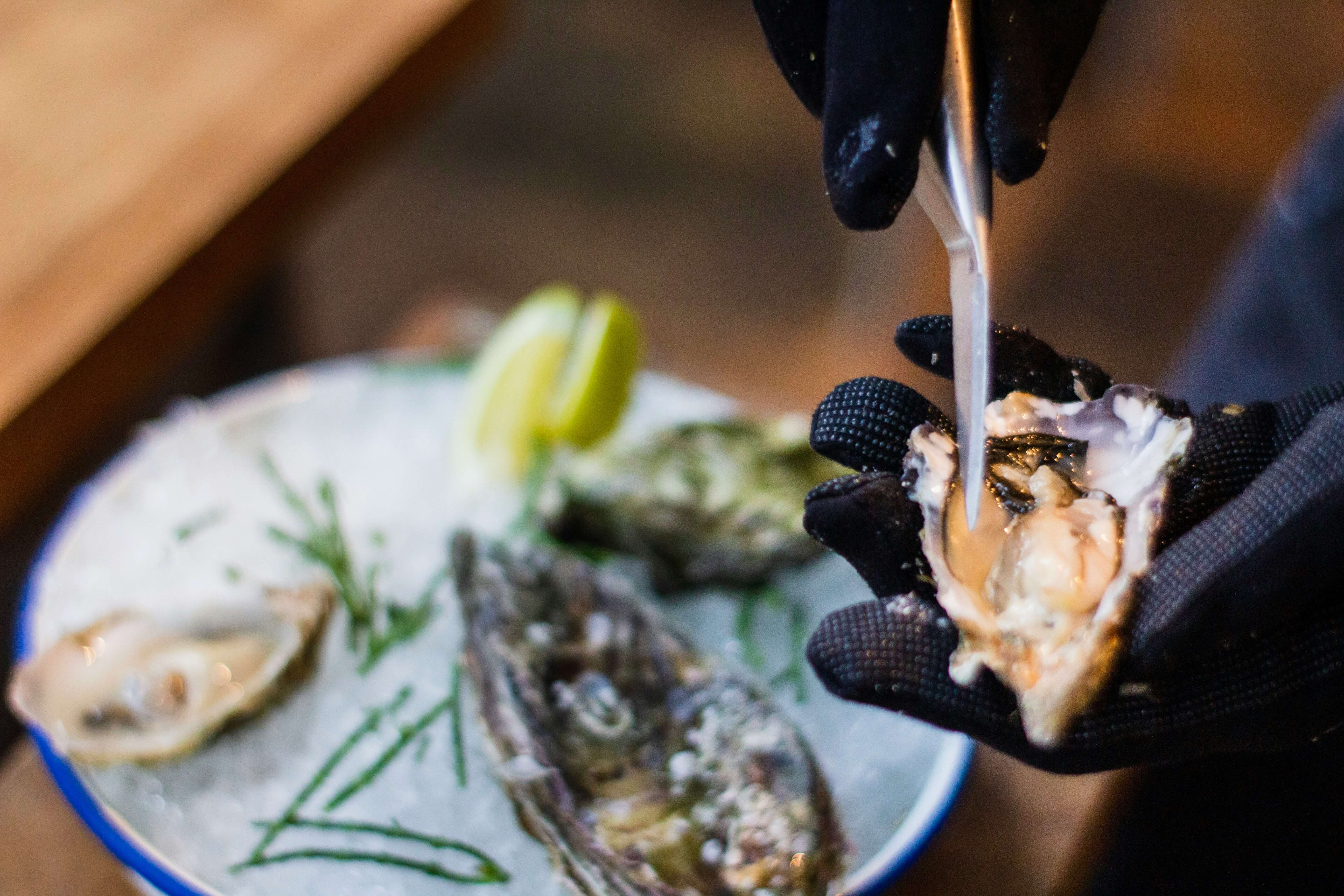 Gourmet recipe for hot oysters au gratin with beer