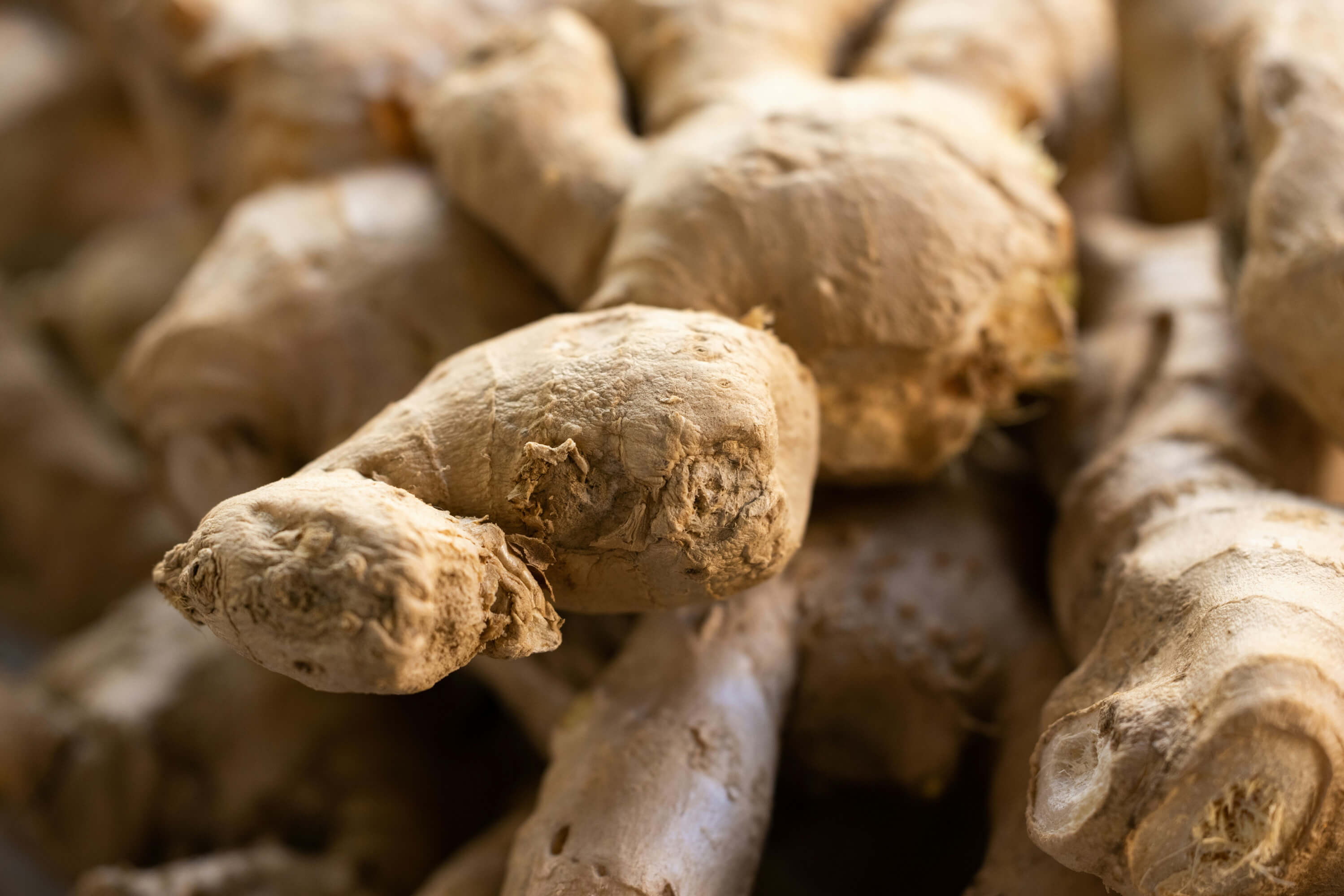 How to make ginger beer ?