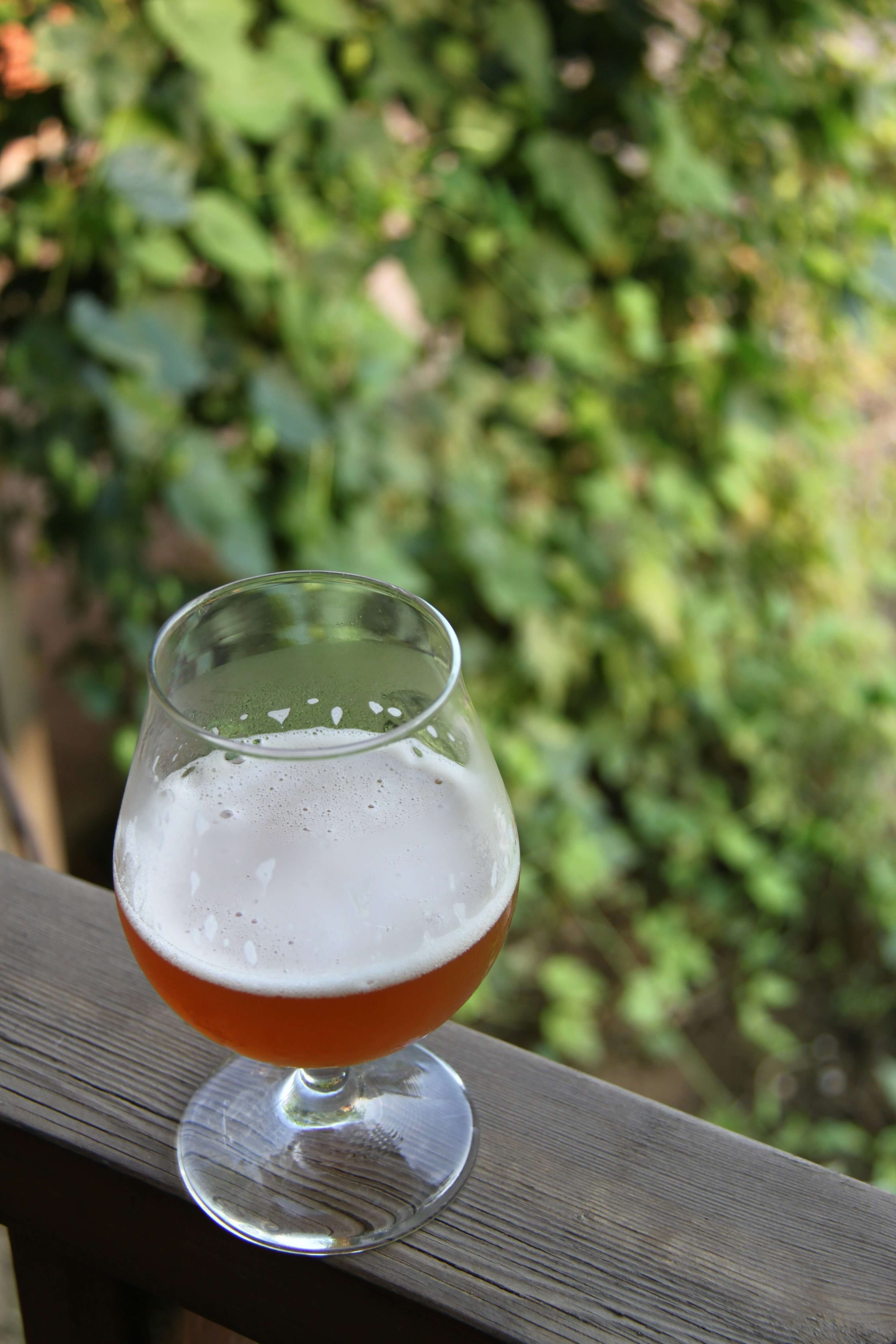 How much beer should I drink a day ?