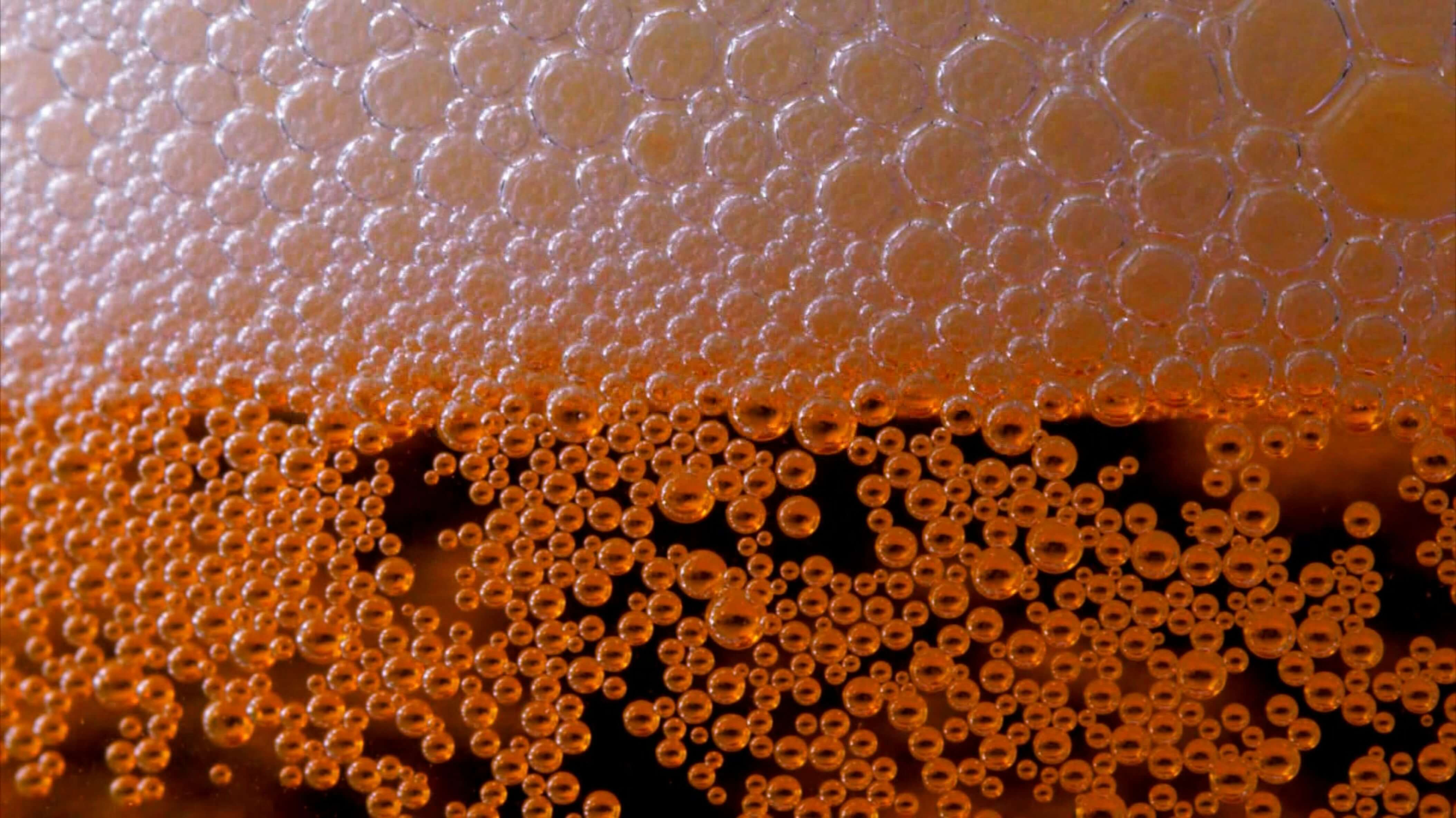 Comprendre l'ibu dans la bière
