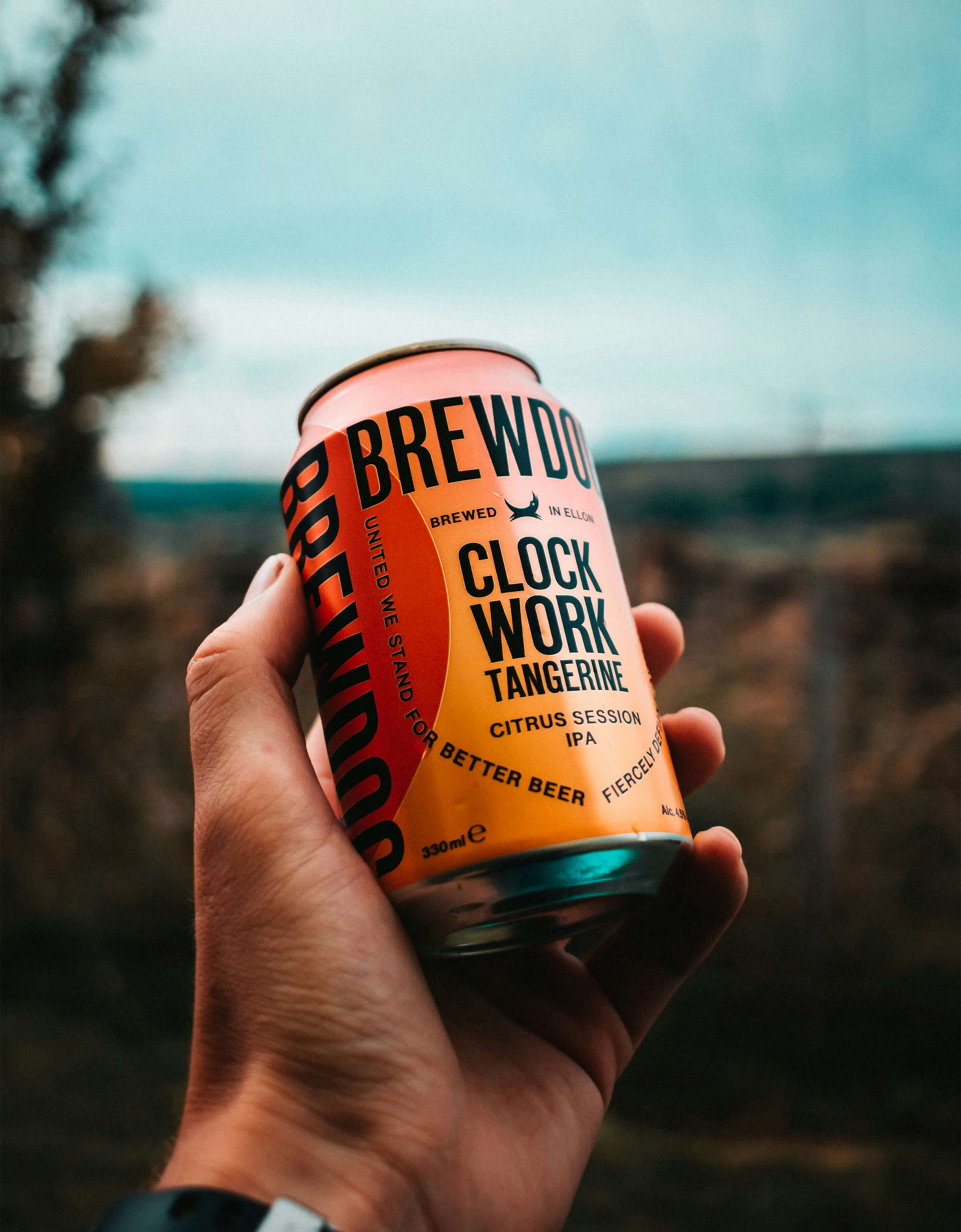 What is an IPA Session ?