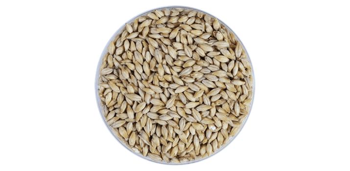 Quel type de malt utiliser pour brasser une bière ?