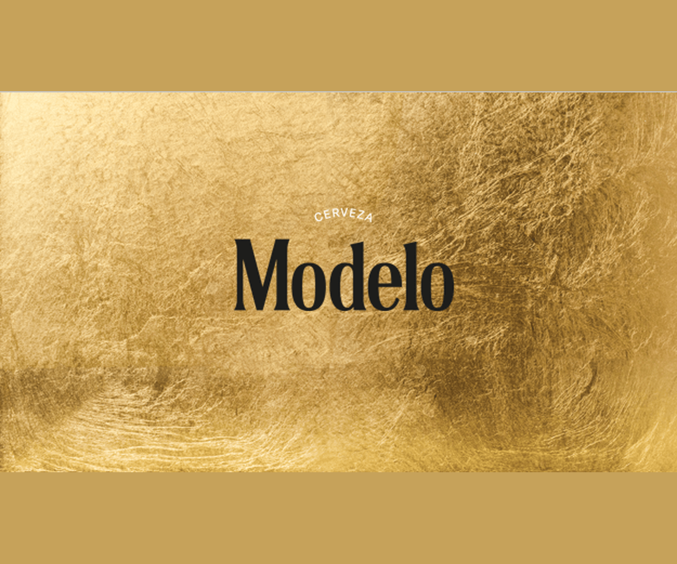 Modelo Especial 