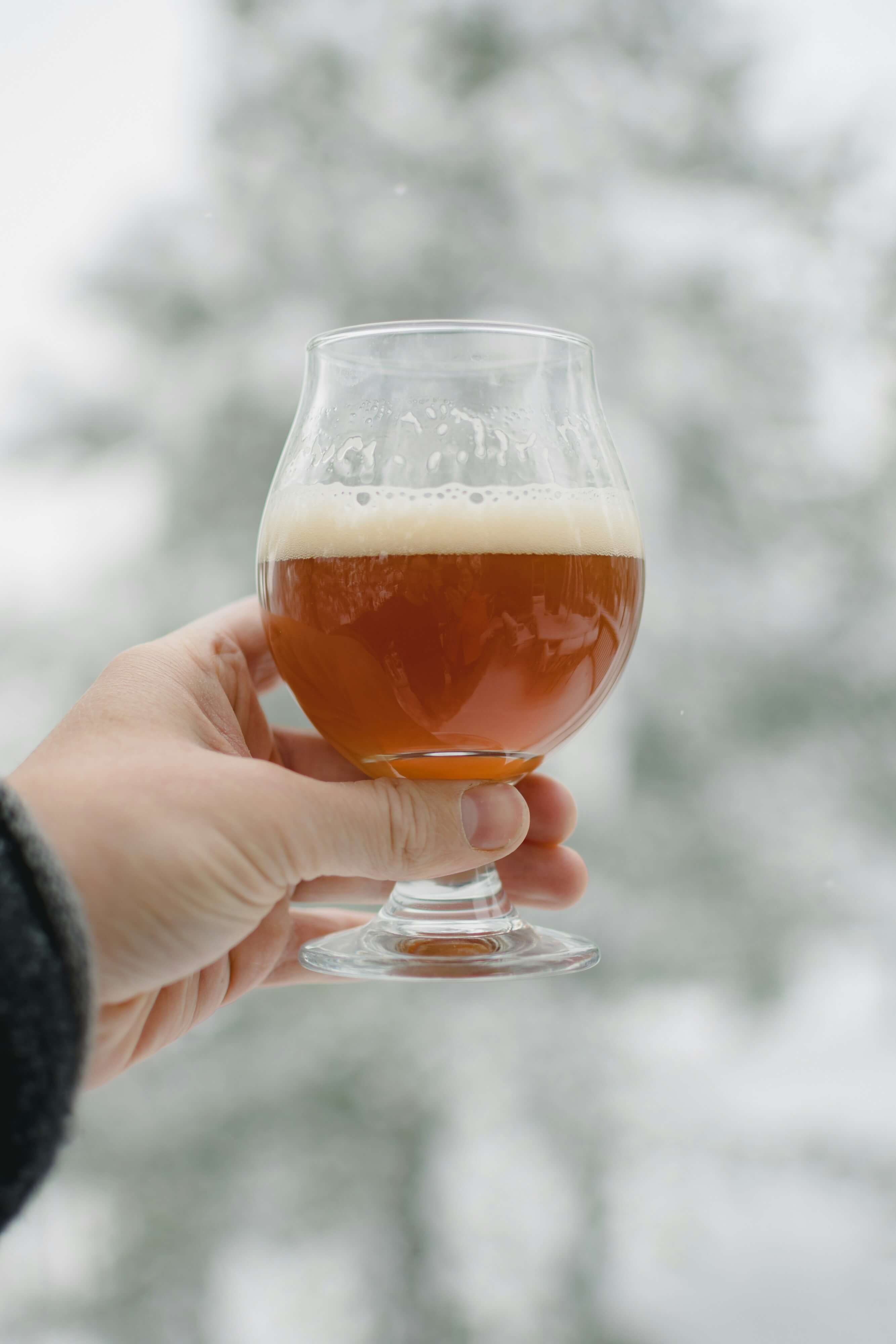 Perché la birra si chiama birra?