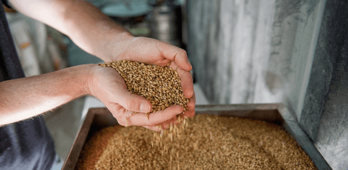 Perfect crushing for ideal grinding for beer brewing