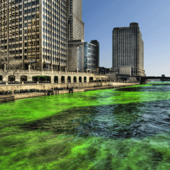 Saint Patrick's Day, the Irish beer festival