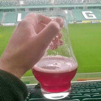 The Warsaw Beer Festival