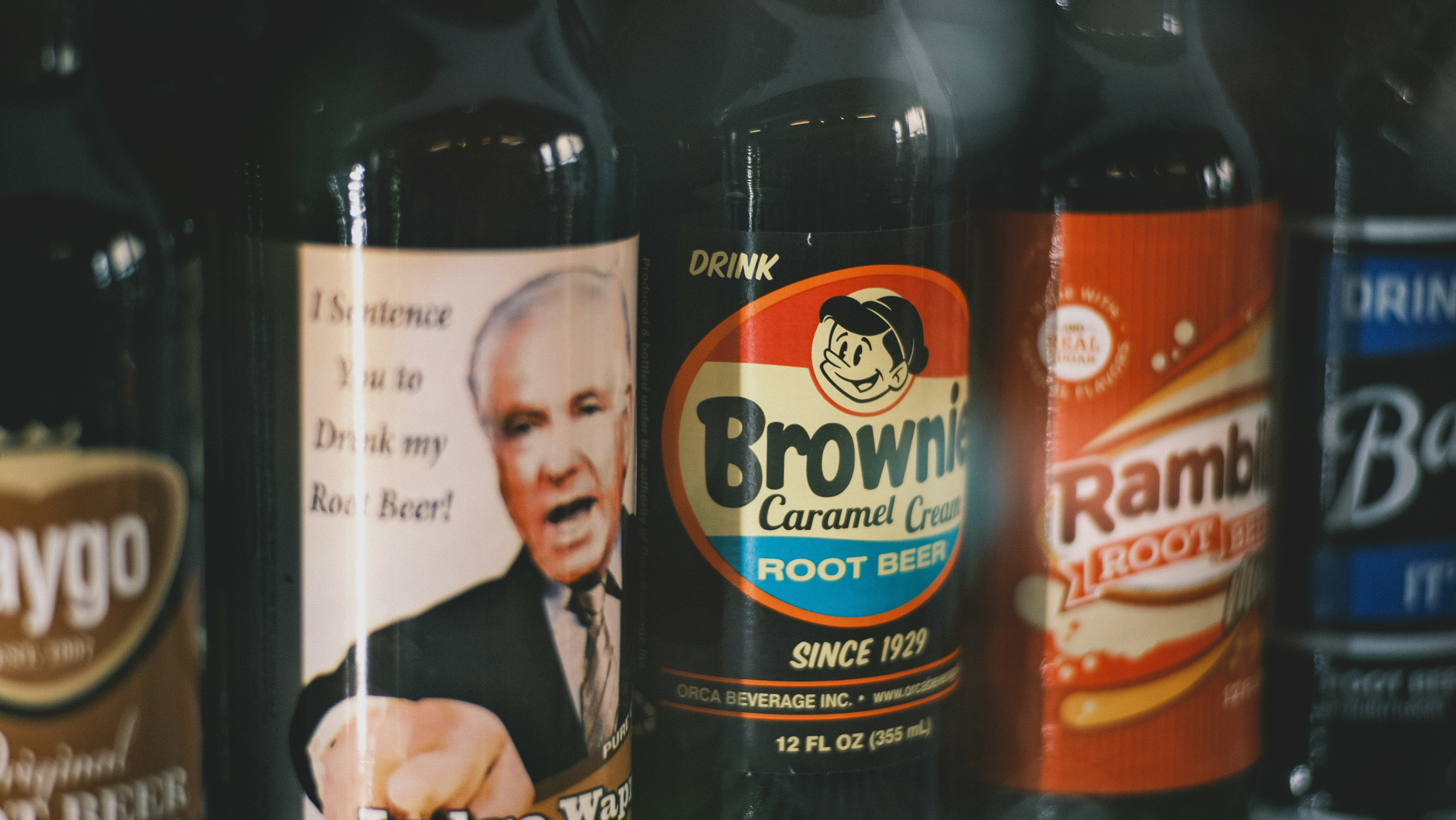 What is root beer ?