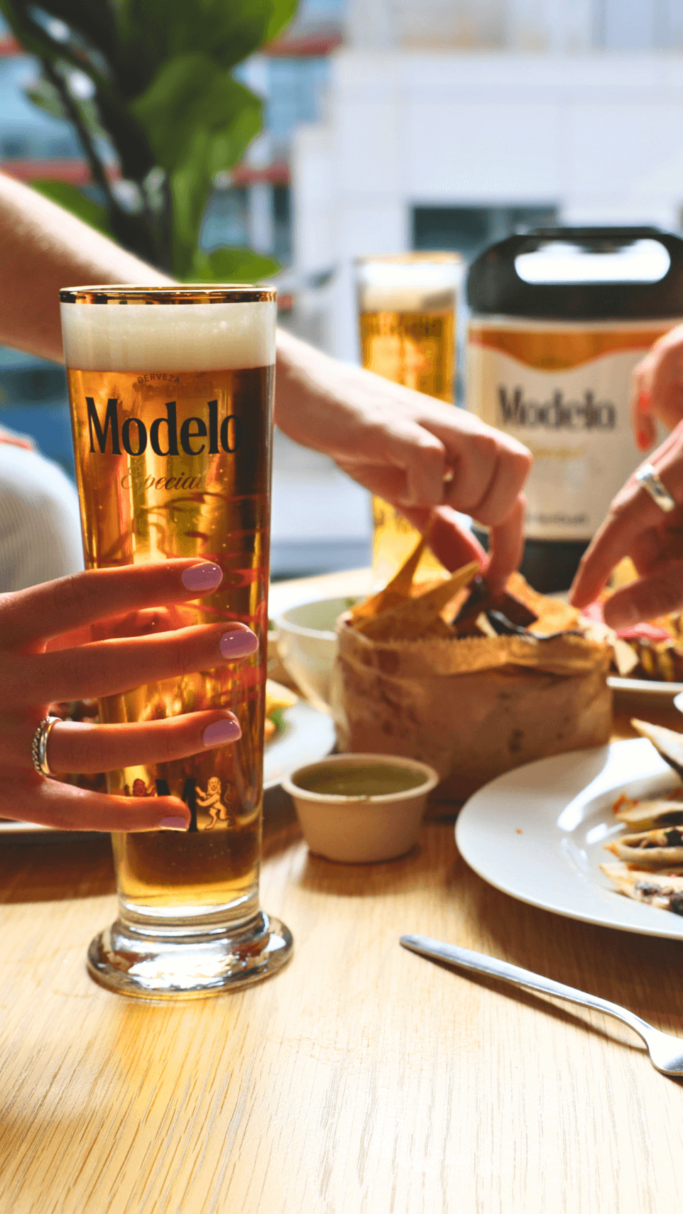 Modelo Especial Mobile