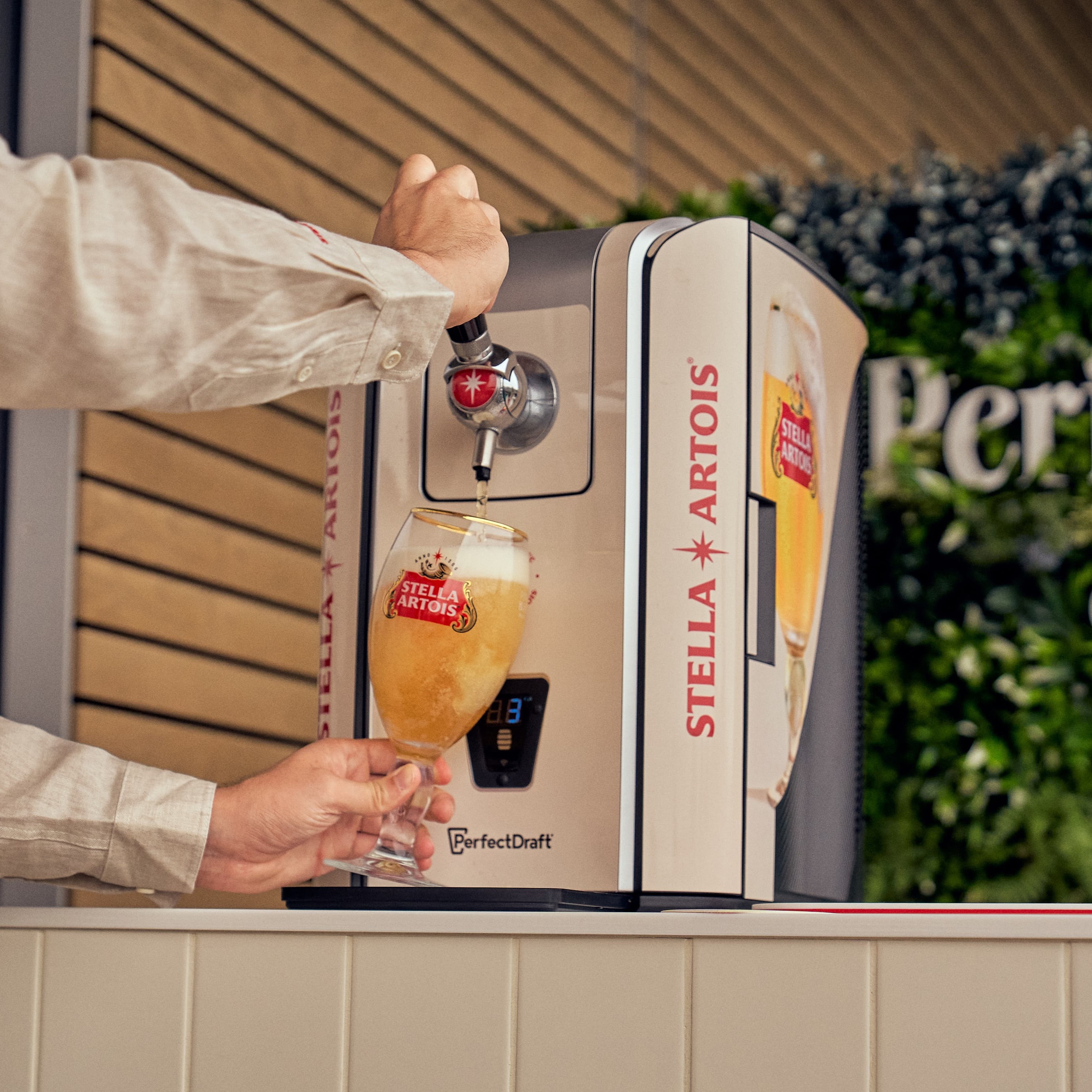 Service Stella Artois