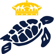 Turtle Icon